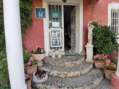 El Tio Mateo — photo 12