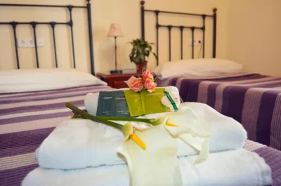 El Zaguan — foto 11