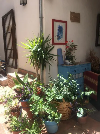 El Zaguan — foto 12