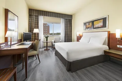 Elba Almeria Business & Convention Hotel — foto 8