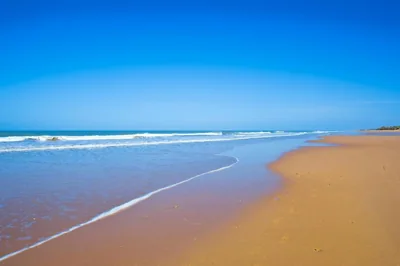 Elba Costa Ballena Beach & Thalasso Resort — photo 3