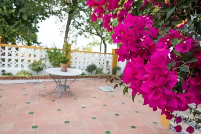 Elmiradordelasmurallas — 写真 10