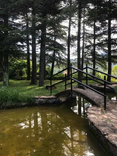 Els Avets de la Muga — 写真 11