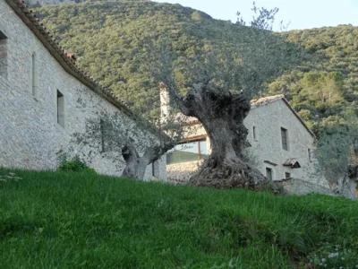 Els Masos de Caula — foto 9