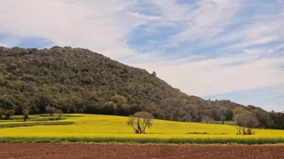 Els Masos de Caula — foto 11