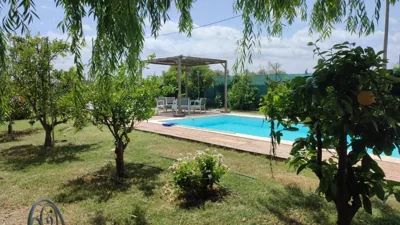 Els Tarongers Perfect for Families or Friends — foto 9