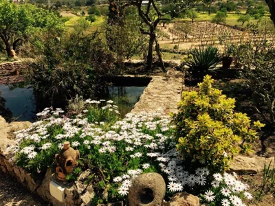 encantadora casa ibicenca — 写真 8