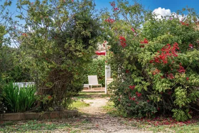 Es Marroig Villa y Spa — foto 11