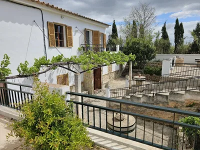 Es Molí de'n Palmer — photo 6