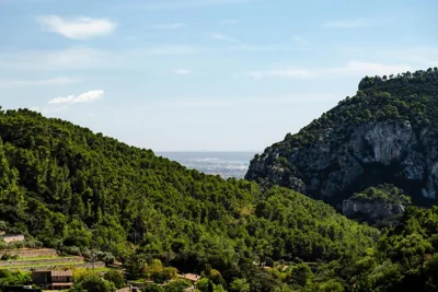 Es Petit de Valldemossa — foto 6