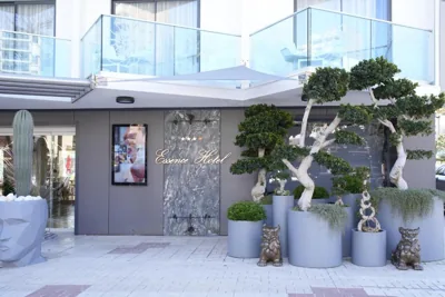 Essence Hotel Boutique — foto 4