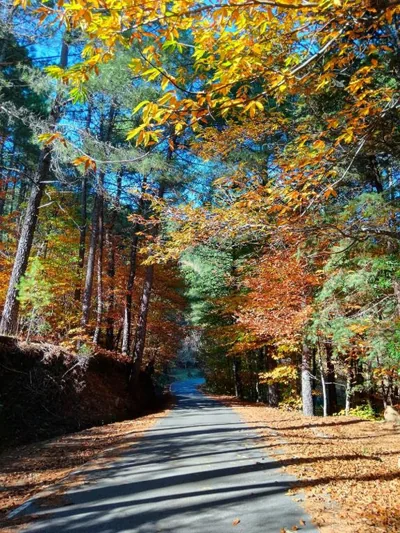 Estrellas de Gredos — foto 9