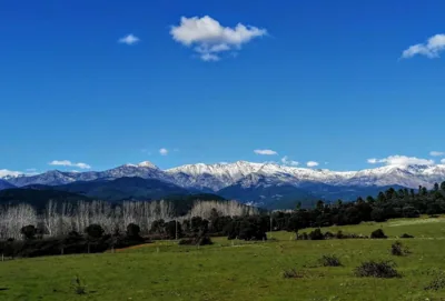 Estrellas de Gredos — foto 10