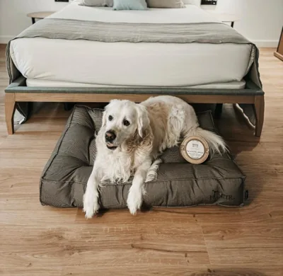 EtxeAundi Hotel Boutique — foto 8
