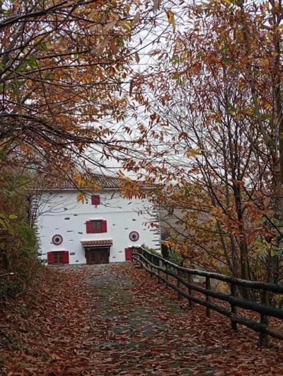 Etxeberriko Borda — foto 6