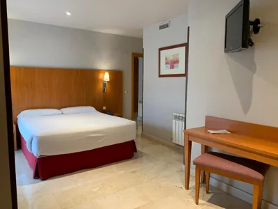 Exe Gran Hotel Almenar — foto 11