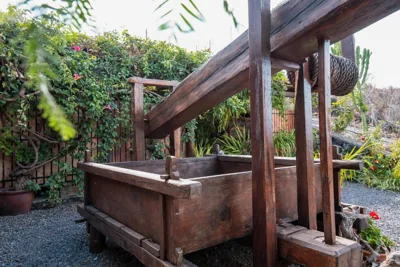 Finca Alda — foto 12