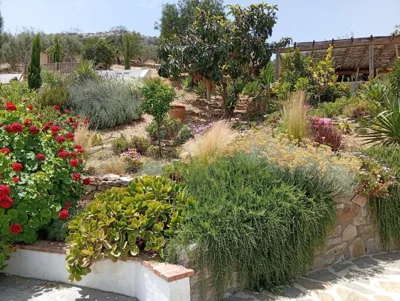 Finca Altozano - Private pool — Foto 11