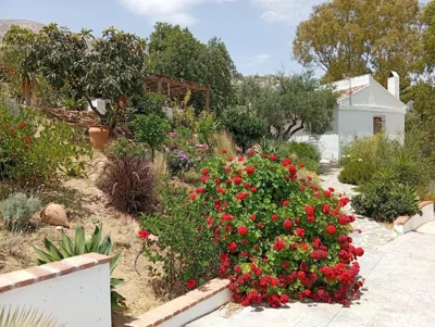 Finca Altozano - Private pool — Foto 12