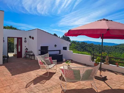 Finca Amorosa — photo 4