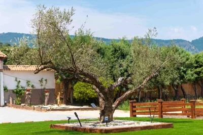 Finca Avellaneda — foto 6