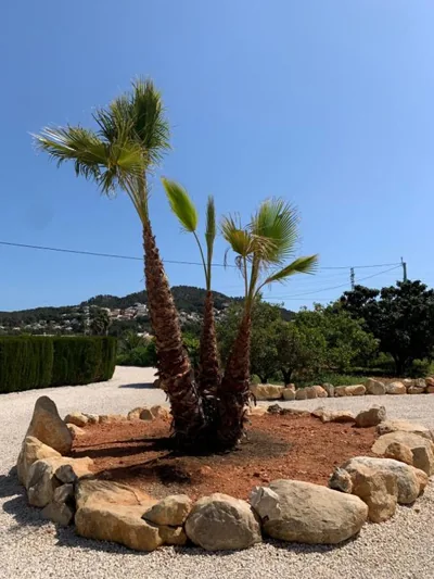 Finca Bona Nit — 照片 8