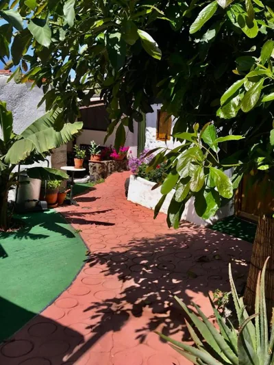 Finca Casa Madera 1 — 写真 8