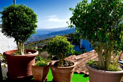 Finca Casa Madera 1 — 写真 12