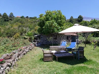 Finca Cueva del Viento — foto 6