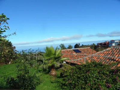 Finca Cueva del Viento — foto 12