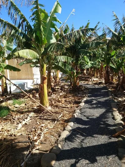 Finca Don Victor — foto 4