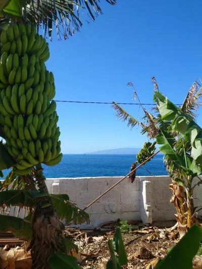 Finca Don Victor — foto 6