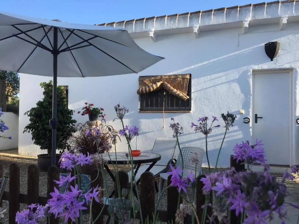 Estúdio com terraço — Finca Duende - Adults Only