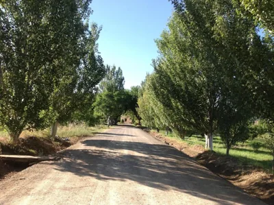 Finca el Consul — foto 9