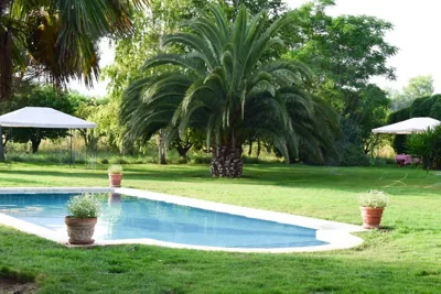 Finca el Consul — foto 12