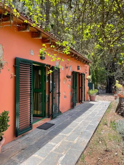 Finca El Lance Zumacal — foto 10