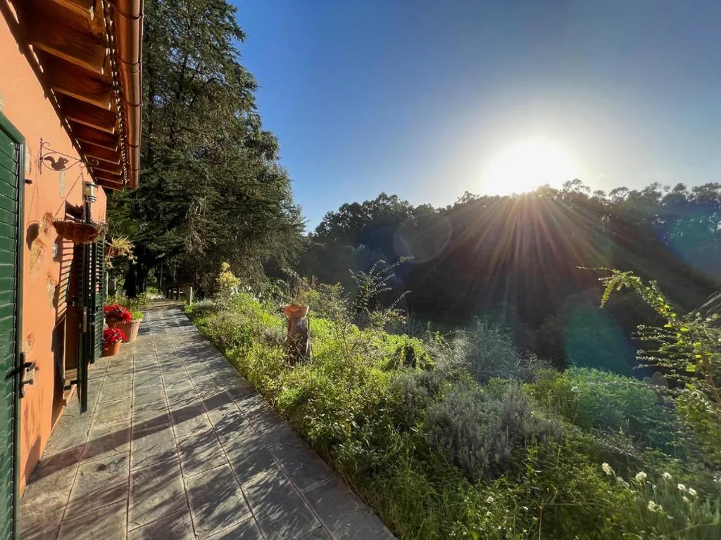 Villa met 1 slaapkamer — Finca El Lance Zumacal