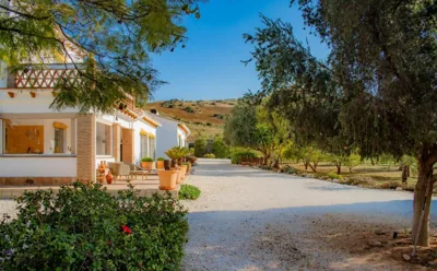 Finca El Limonar — foto 3