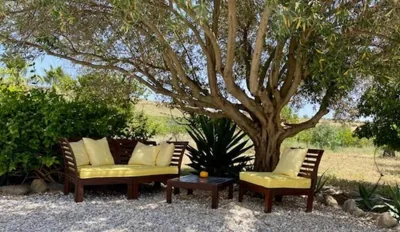 Finca El Limonar — foto 4