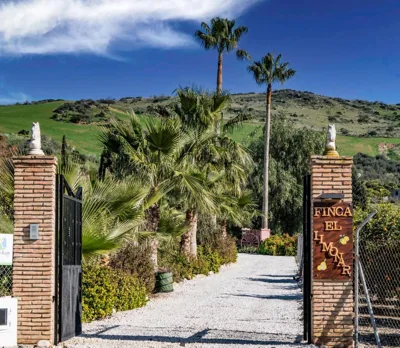 Finca El Limonar — foto 6