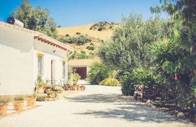 Finca El Limonar — foto 11