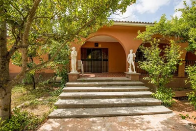 Finca el Palomar de la Viña — foto 6