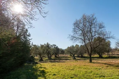 Finca el Palomar de la Viña — foto 9