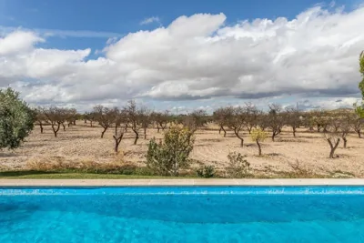 Finca El Relax Casa Rural en Colmenar de Oreja — foto 7