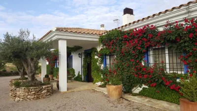 Finca El Romeral — Foto 4