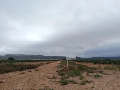 Finca El Romeral — Foto 7