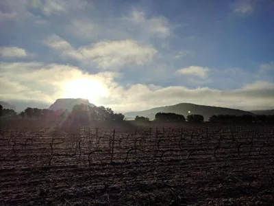 Finca El Romeral — Foto 11