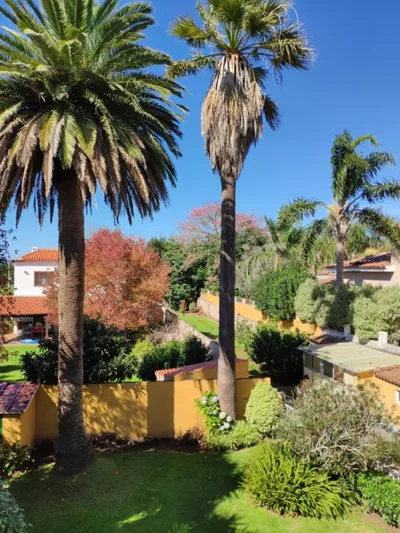 Finca El Trazo — Foto 5