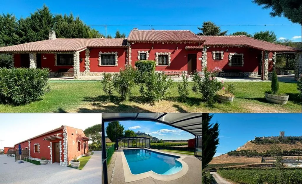 GARNACHA — FINCA ENTREVIÑEDOS de Bodegas Marcos
