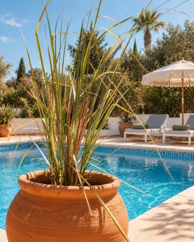 Finca Flamenco Holiday Suites Adults Only — photo 10